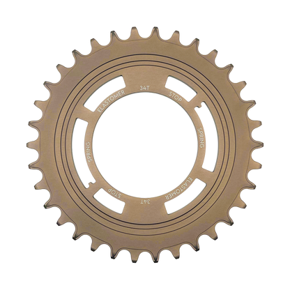Chain Damper Chainring image 1