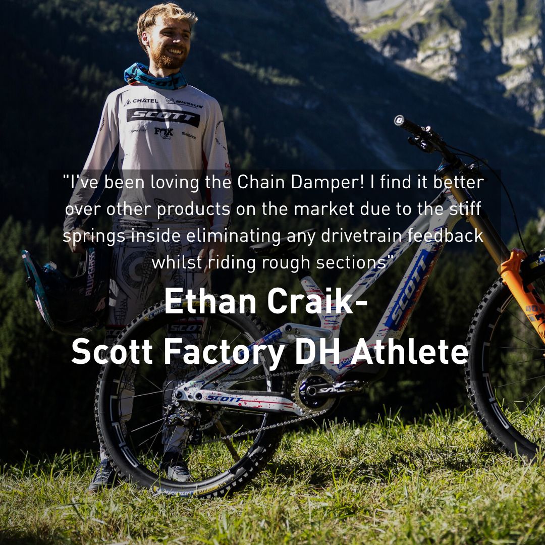 Chain Damper image 6