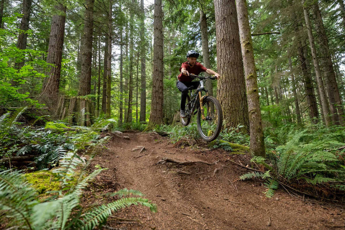 A mountain biker rides a dirt bike along a forest trail surrounded by tall trees and green ferns whilst testing the Rimpact Chain Damper.