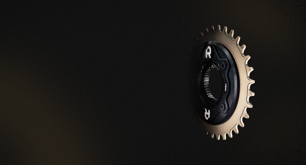 E-Bike Chain Damper Home Page Banner 