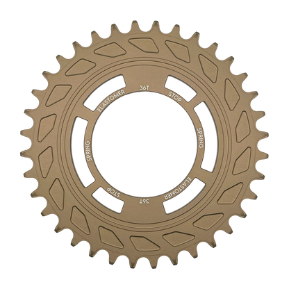 Chain Damper Chainring image 0